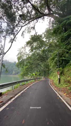 Ngebel setelah hujan suahdu🥰 opo bodo ra kangen ponorogo?☺️ #fyp #ponorogo #ngebel 
