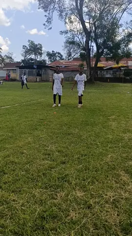 #ncfa 