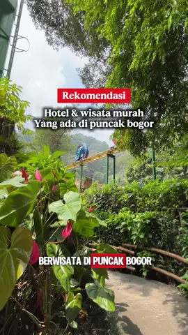 Rekomendasi hotel & wisata murah yang ada di puncak bogor☺️ #urbanviewbyreddoorz #redtravellers #bukasemuapintu #reddoorz #berkesans 