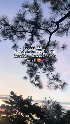 Buenos días mi amor 💓