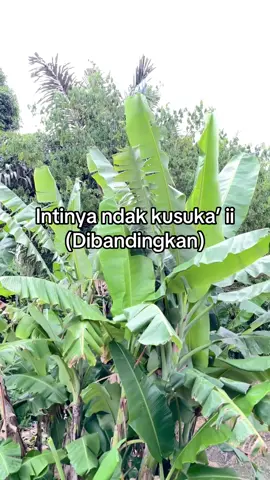 #fyp#katakta#story