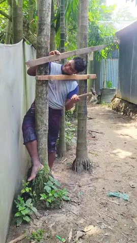 #creatorsearchinsights ####pleasegoviral ###shortfunnyvideo ###foryoyu ####