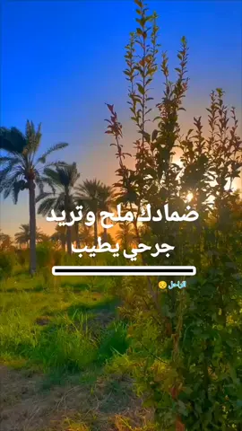 الراحل 😔