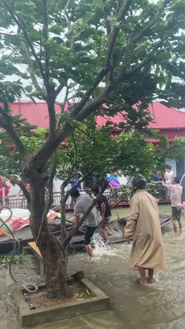Mưa lũ khủng khiếp quá😭😭