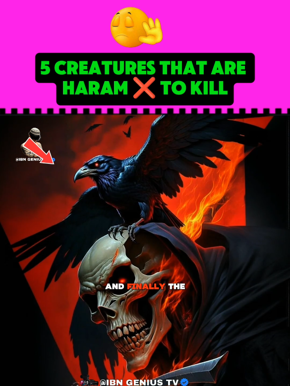 #creatorsearchinsights #islamic_video #haram 