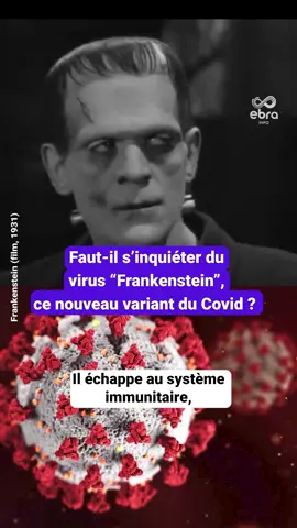 Dans son dernier bulletin, Santé publique France alerte sur un nouveau variant du Covid : le XFG, surnommé « Frankenstein ». Il est la cause de la hausse des cas de Covid ces dernières semaines en France et dans le monde. Une campagne de vaccination aura lieu du 14 octobre au 31 janvier 2026. #ebrainfo #covid #frankenstein #sinformersurtiktok #tiktoknews