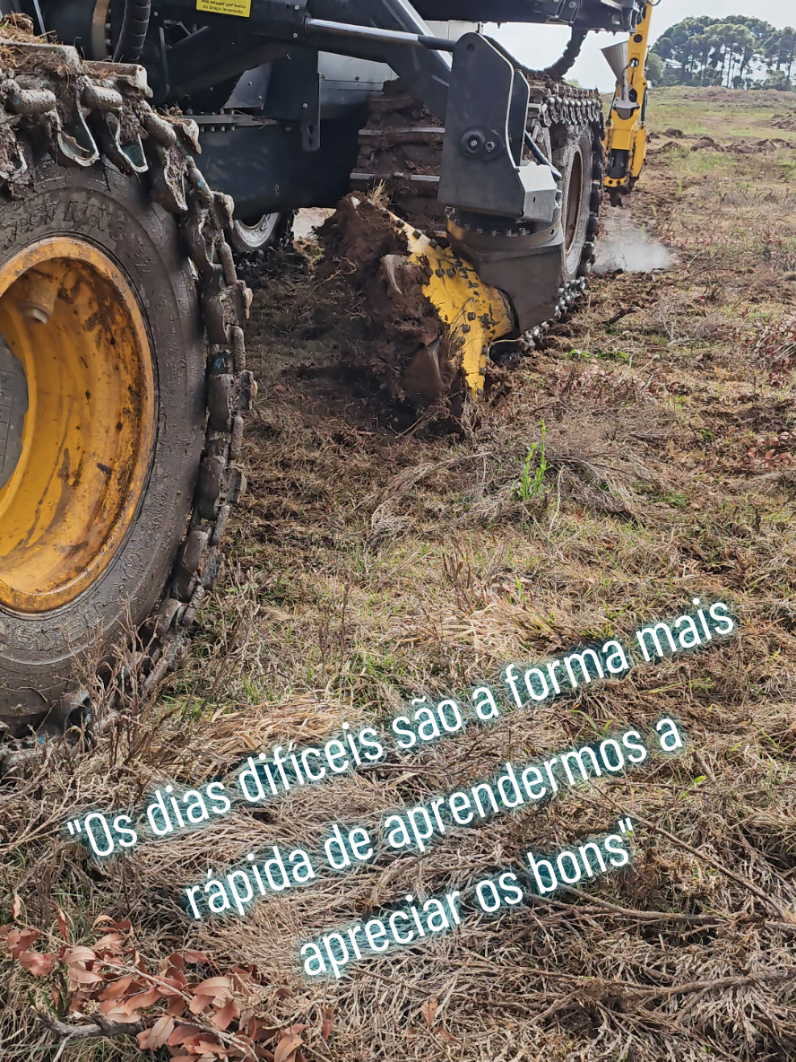 #gdm #flyy #segundouuu #capãoalto #sc 