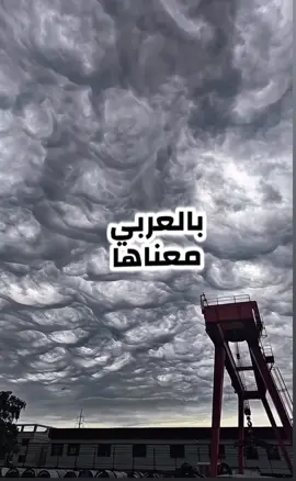كلمة وينك #تحفيز #نشر #اشتقت لك#البلوك #like 
