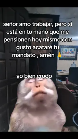 #resaca 