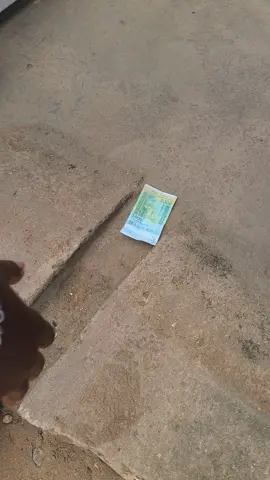 🎥 On a posé 5000 FCFA devant l’entrée… mais attention 👀 chaque main qui se tend = une visite guidée de nos aquariums 🐠✨. Et si c’était toi, tu serais déjà client 😅💙 numéro commercial:  💧+229 💧97 💧51 💧31 💧25 #aquariumCotonou #aquariumBénin #VisiteSurprise #MarketingCréatif #PiègePositif 
