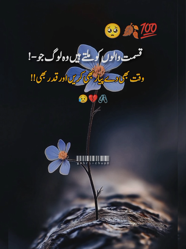 #viewproblem💔🥺🙏🙏 #deeplines #urdupoetry #saidpoetry💔😭💔 #gehrii_chupp8 