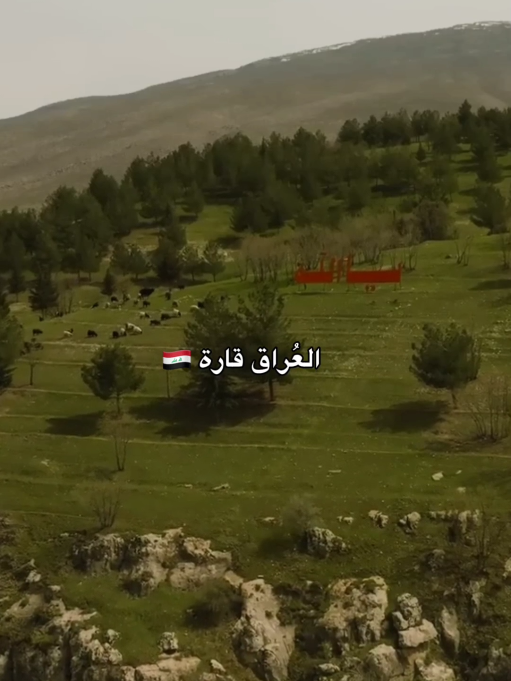 و العُراق عراقَك و عْروق اَلعراق بَين عَروقك 🇮🇶 #اليوم_الوطني #العيد_الوطني_العراقي #العراق #اليوم_الوطني_العراقي🇮🇶 #3اكتوبر 