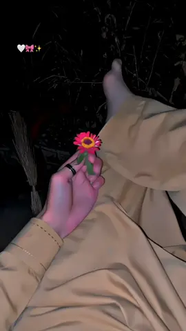 Tum bohut ache ho …🫶🏻💫#foryou #foryoupage #1millionaudition #foryoupageofficial #growth #dontundarrviewmyvideo #growmyaccount #sad @tiktok creators @Naveed Raees 
