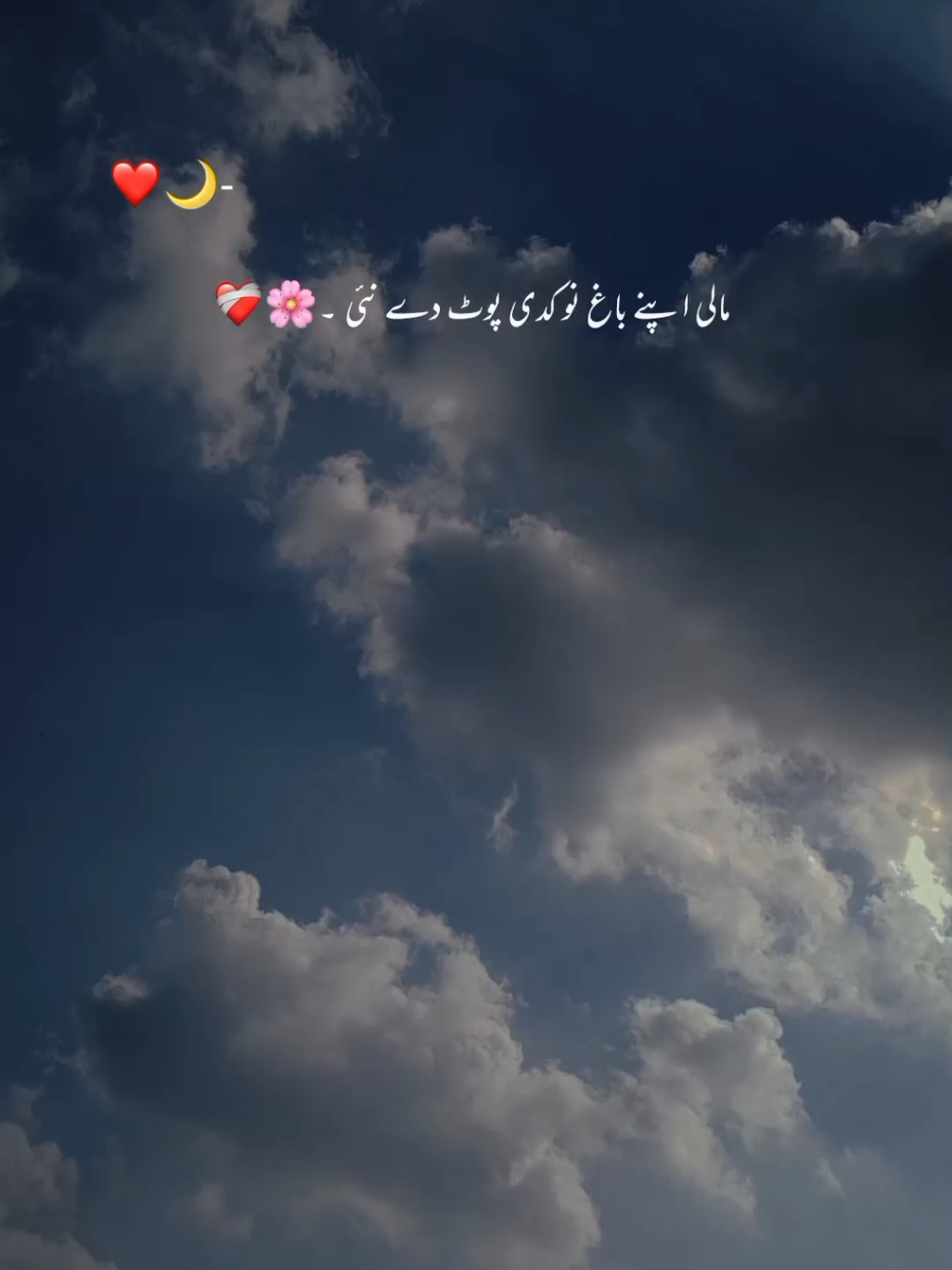 Rishtay yaari de 🫶🏻🫀 #usman_azam_3 #aesthetic #growmyaccount  #foryouofficialpage #onemillionaudition 