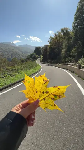 #🍁🍁🍁 #goygol 