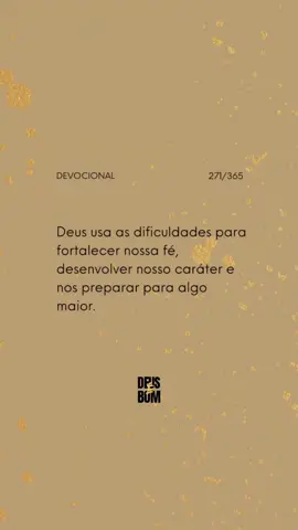 #271#365
