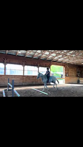 Some great breakthroughs for a rider who hasn’t jumped in a year on a horse she has never ridden 