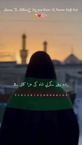 Kaafi Hai..🥹💗#syeda_zaini #trending #لبیک_یاحسینؑ #یاعلی_مدد #molaaliع 