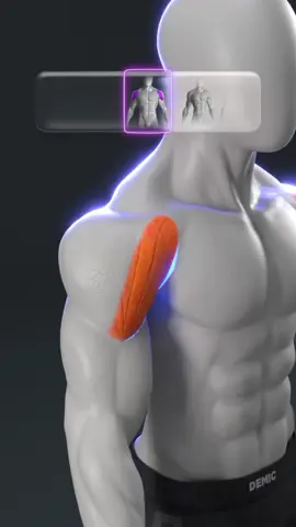 💪 Build 3D Shoulders with These 3 Dumbbell Moves