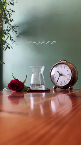 من آثر الراحه .. فاتته الراحه 🍁 #اكسبلور#شاي #مشاعر 