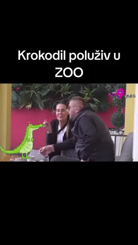 Krokodil, poluživ u ZOO #zadruga #balkantiktok #balkanfyp #balkan #elita9 