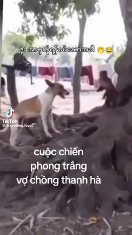 2 đối thủ nặng ký 