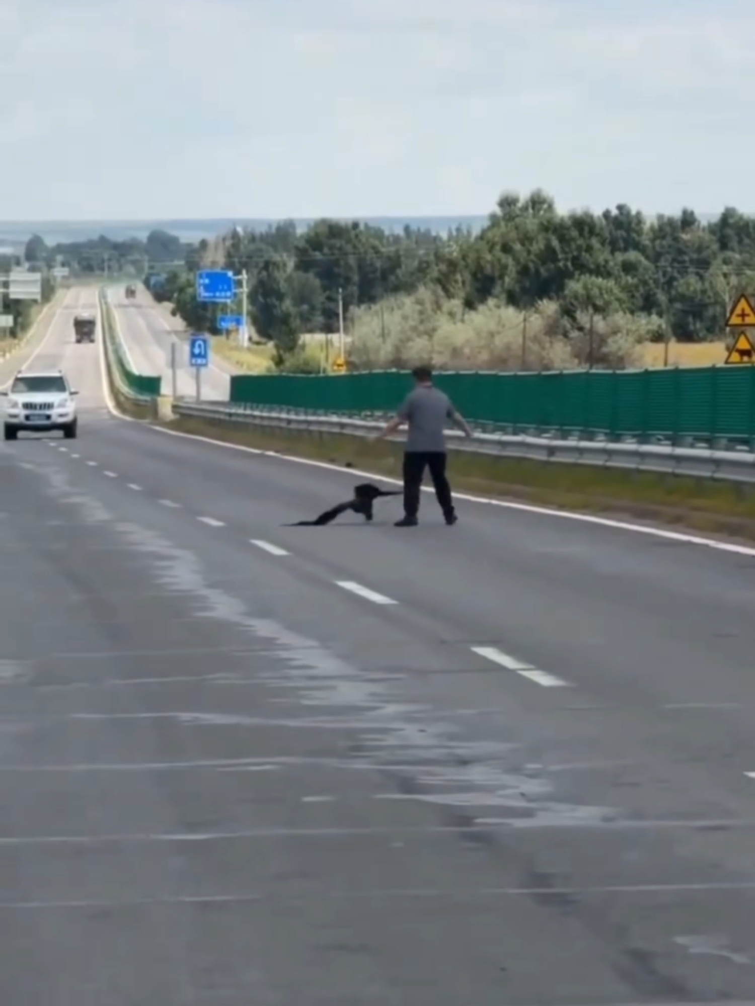 bird wants to die 😂 pajaro no quiere vivir #bestfails #stupidity #epicfail #fallo #dumbest #funfun #funnyvideos😂 #entertainment #kick #diversion #divertido #divertimento #tiktokviral #furdich #fyp #failcompilation #bird #pajaro