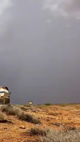 Rafiqena waan radinayee#followsoodheh✅️ #bywillmiyi🐪🐎🐎🐑👩‍🦯✅ #dhaqandhowr1🐪 #wabxo💙💚🤍 #dhantosomali🇸🇴🇸🇴🇸🇴❤️💙💚 