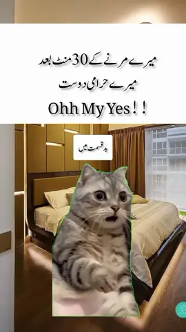 leposht piyaly ❤️😄#500k #viral #memes #500k #foryoupage 