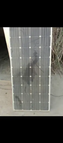 #funnytiktok #pixverse 