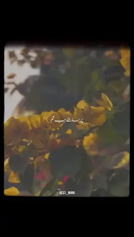 MARA DIL BHEE KITNA PAGL HY...// #fyp #foryou #foryoupage❤️❤️ #songlyrics #videoviral 