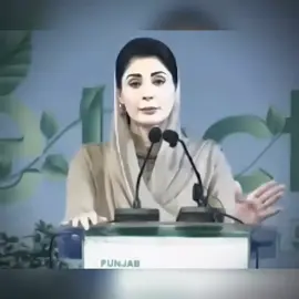 Punjab always on 🔝  #maryamnawaz #fyyyyyyyyyyyyyyyy #tiktok #yahya×pmln #fyp 
