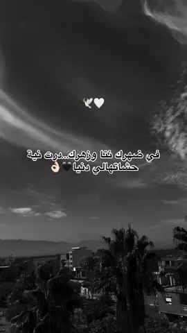 #fybbbbbbbbbbbbbb #شعب_الصيني_ماله_حل😂😂 #algeria 