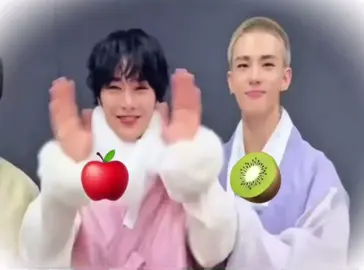 🍎🥝  #hyunjin #IN #straykids #sillyedit #fyp 