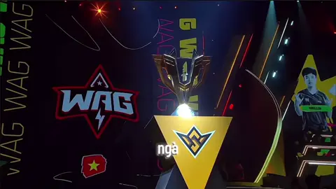 Hãy Cùng Tiếp Lửa Cổ Vũ Cho Các Đại Diện Việt Nam Thôi Nào😍❤️🇻🇳🔥 #wag#heavy#pe#gow#ffwsseafall2025 