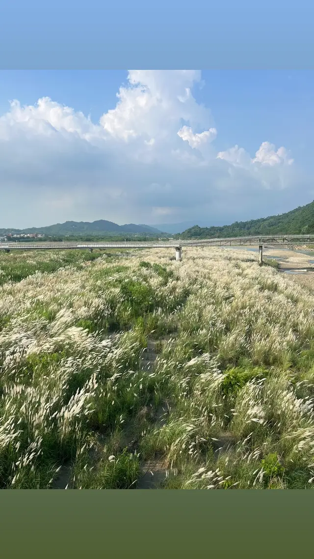 大家信教嗎？  我是「回籠教」的 主要任務是睡覺😪😜😜晚安