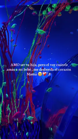La mejor abuela del mundo 🌍 💕🥹✨#abuela #fypシ゚ #mamaprimeriza #viralvideos 