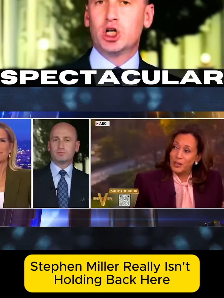 Stephen Miller Really Isn't Holding Back Here
