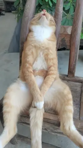 Nay cam mệt nên ngủ ngon quá hà