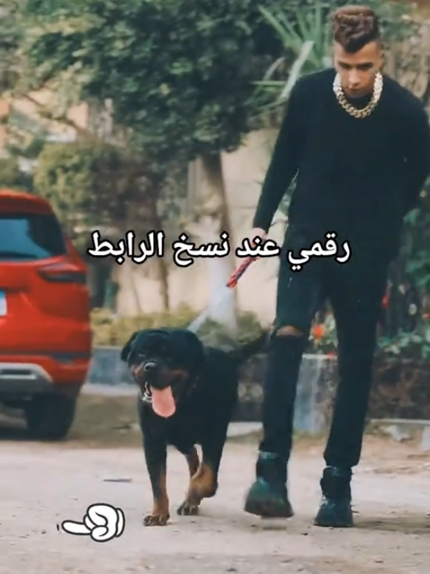 #عصام_صاصا #عصام_صاصا_الكروان #صاصا_الكروان 