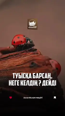 #тренд 