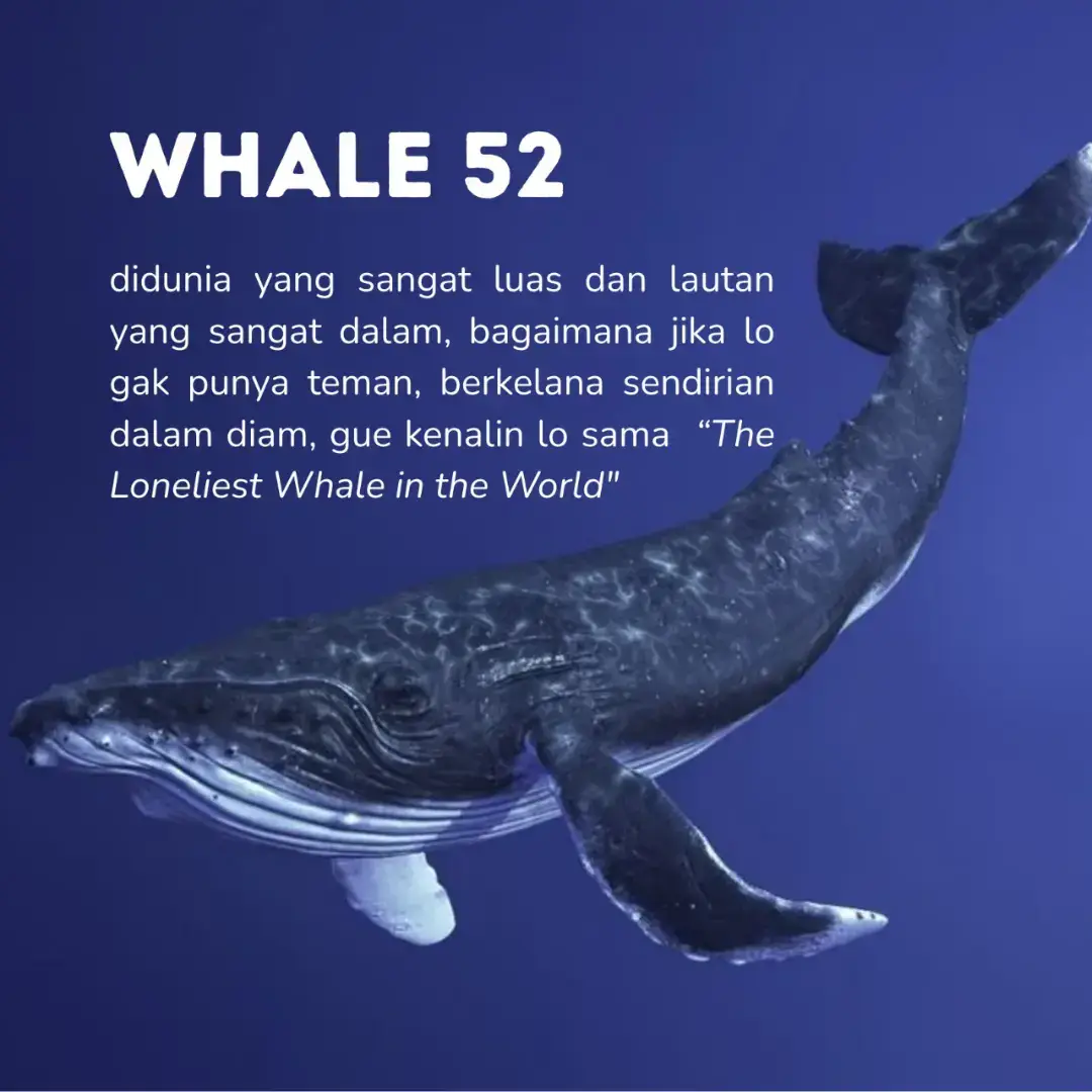 oomf tell me about this lonely whale, and it turns out sangat misterius, thank you sooo much. Dan gimana jadinya lo keliling samudra sendirian karena frekuensi lo ga pernah terdengar, dapat julukan 