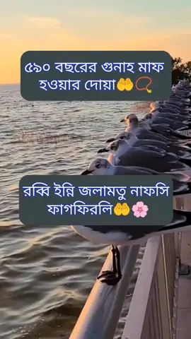৫৯০ বছরের গুনাহ মাফ হওয়ার দোয়া#ইসলামিক_ভিডিও_🤲🕋🤲 #ইনশাআল্লাহ_যাবে_foryou_তে। @the sute girl🌻🌷💮 @kobir Rex @🌷 প্রবাসী 🌷 