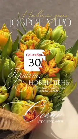#30сентября #вторник #новинки #доброеутро #новыйдень .