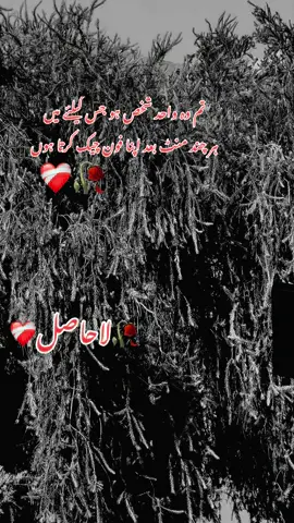 #creatorsearchinsights تم وہ واحد شخص ہو جس کیلئے میں  ہر چند منٹ بعد اپنا فون چیک کرتا ہوں#fyp #foryo #unfrezzmyaccount #viewsproblem 