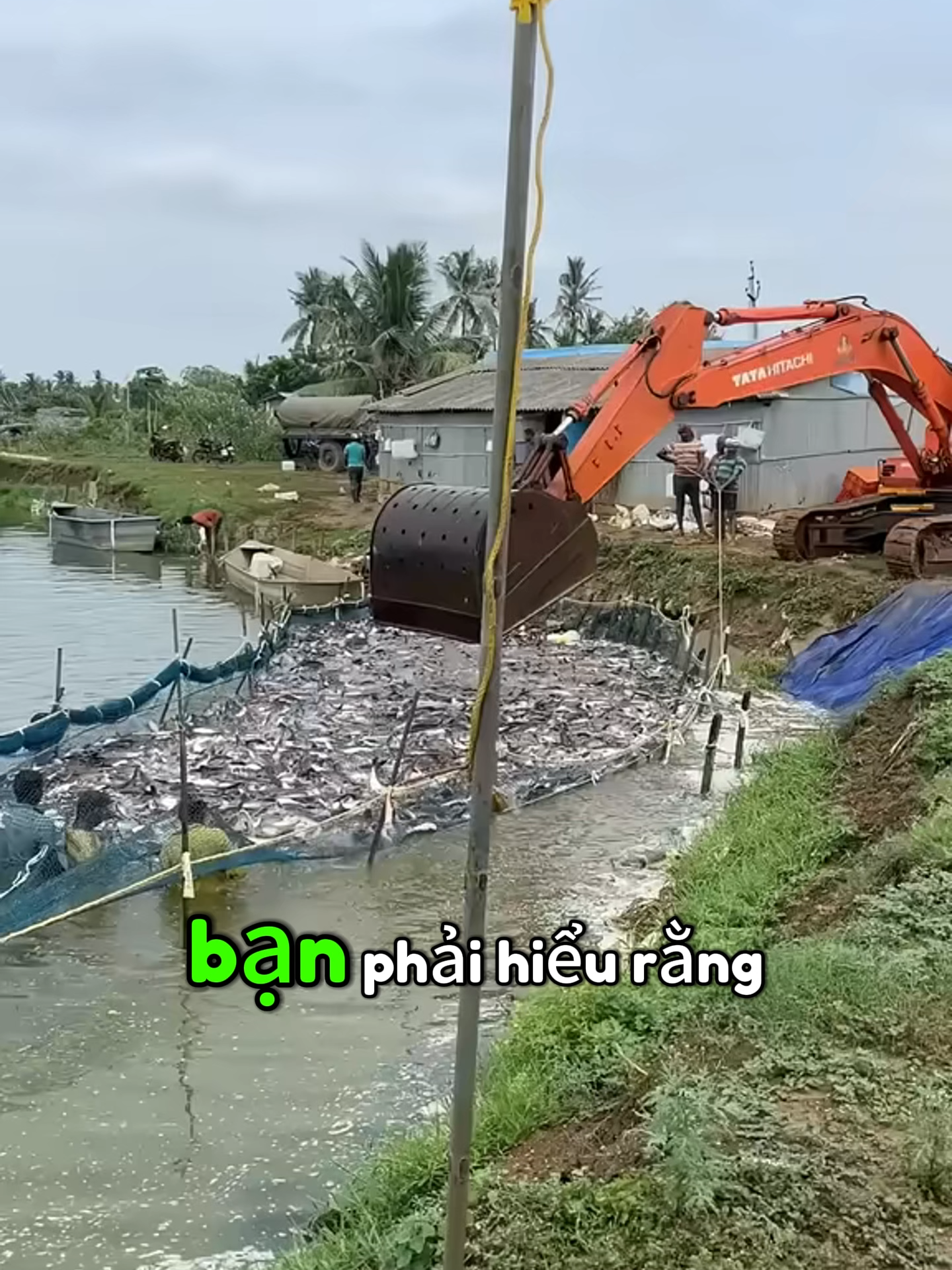 Một gia tộc muốn hưng thịnh, phải có người bước vào thể chế để giữ an toàn, và một người làm kinh doanh để tạo nguồn tài chính. Một người giữ sự ổn định, một người đảm bảo tài sản — đó mới là thế cân bằng bền vững. Câu chuyện trong Tây Du Ký cho thấy: Tôn Ngộ Không tưởng là tai họa, nhưng thực chất lại giúp giải quyết những mớ rối rắm, gánh thay trách nhiệm cho kẻ khác. Từ “con khỉ điên” trở thành “Đại Thánh” được kính nể. #TưDuyChiếnLược #BàiHọcCuộcSống #TríTuệNgườiXưa #SáchHayNênĐọc #XửThếKhônNgoan #KinhNghiệmSống #PhươngPhápLuận #BíQuyếtThànhCông