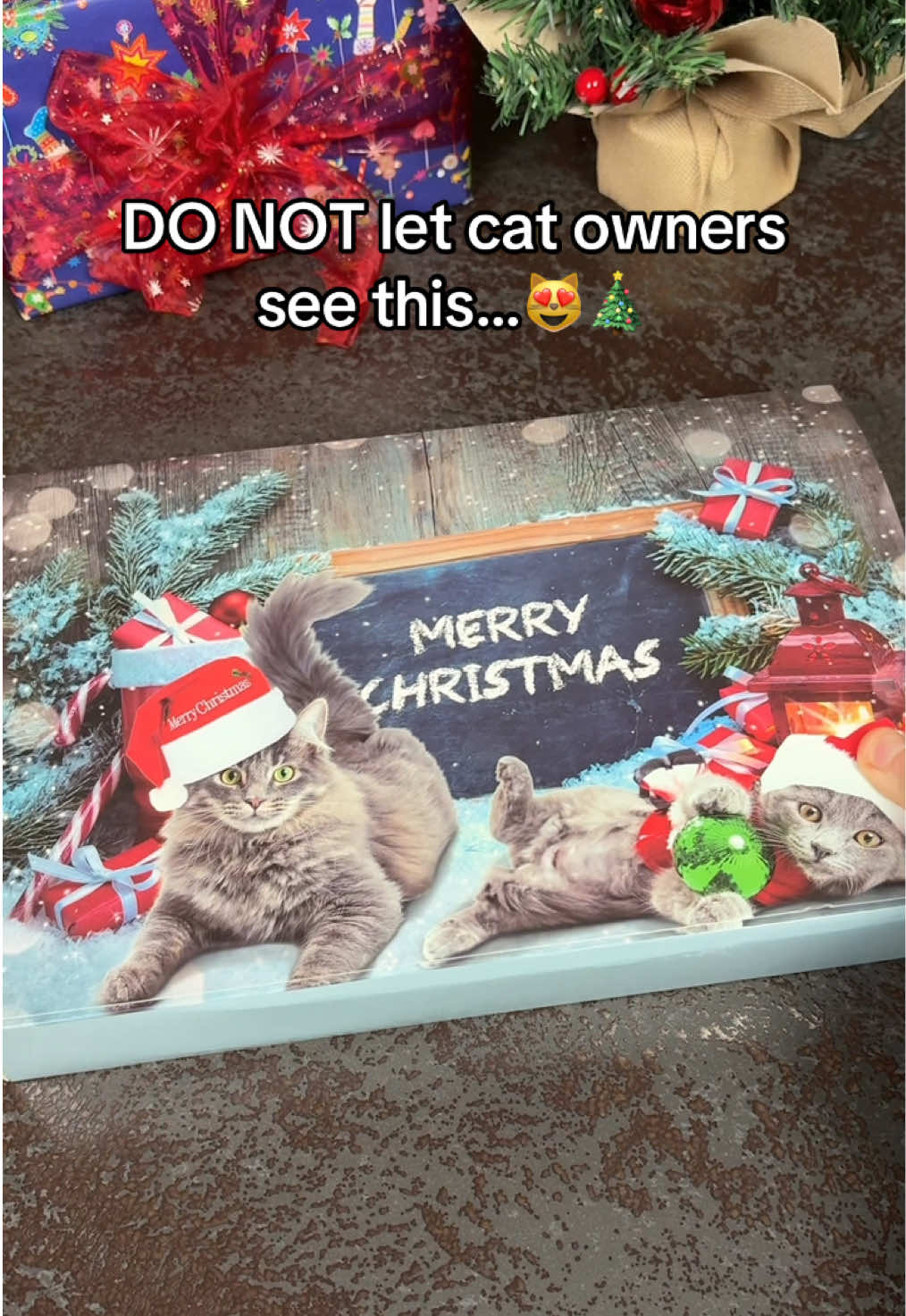 Every cat deserves this as their Christmas gift 🎅🎁 #adventcalendar #catlover #christmas #catparents 