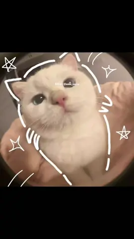 😂😂😂😂#foryou_tiktok_viral_video_tiktok_foryoupage_100 #foryou_tiktok_viral_video_tiktok_foryoupage_100 #myaccountunfreze🙏🥺viral #myaccountunfreze🙏🥺 #tiktokviral 
