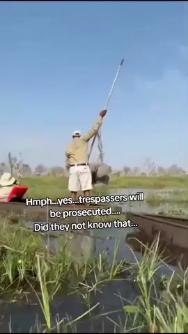 Hmph…yes…trespassers will be prosecuted…. Did they not know that… #safari 