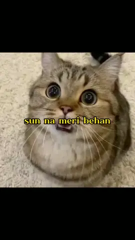 sun na Meri behan 😁😫🤧#unfrezzmyaccount #foryou100kviews #foryou_tiktok_viral_video_tiktok_foryoupage_100 #myaccountunfreze🙏🥺viral #myaccountunfreze🙏🥺 